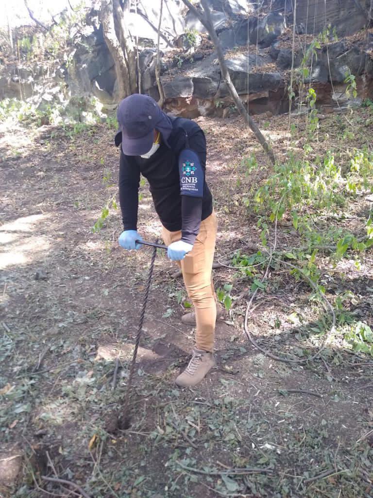 Trabajos en Salvatierra