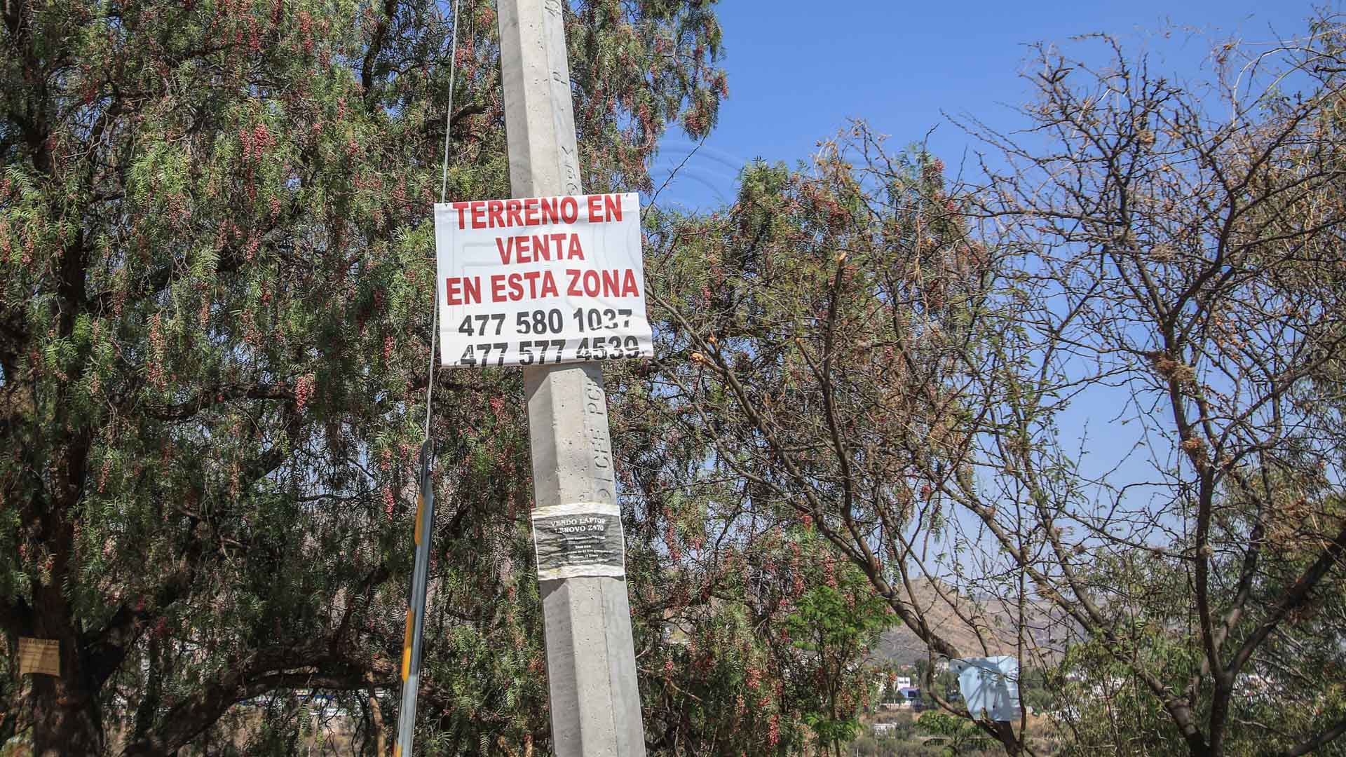 Foto: Juan José Plascencia