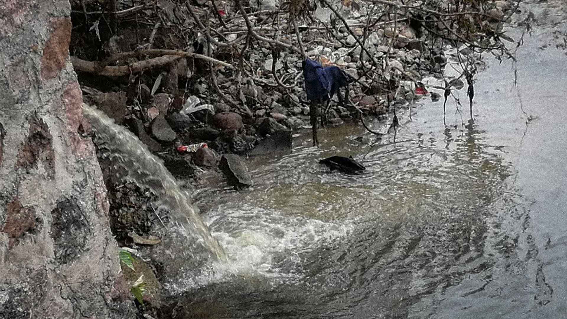 Foto: Edith Domínguez