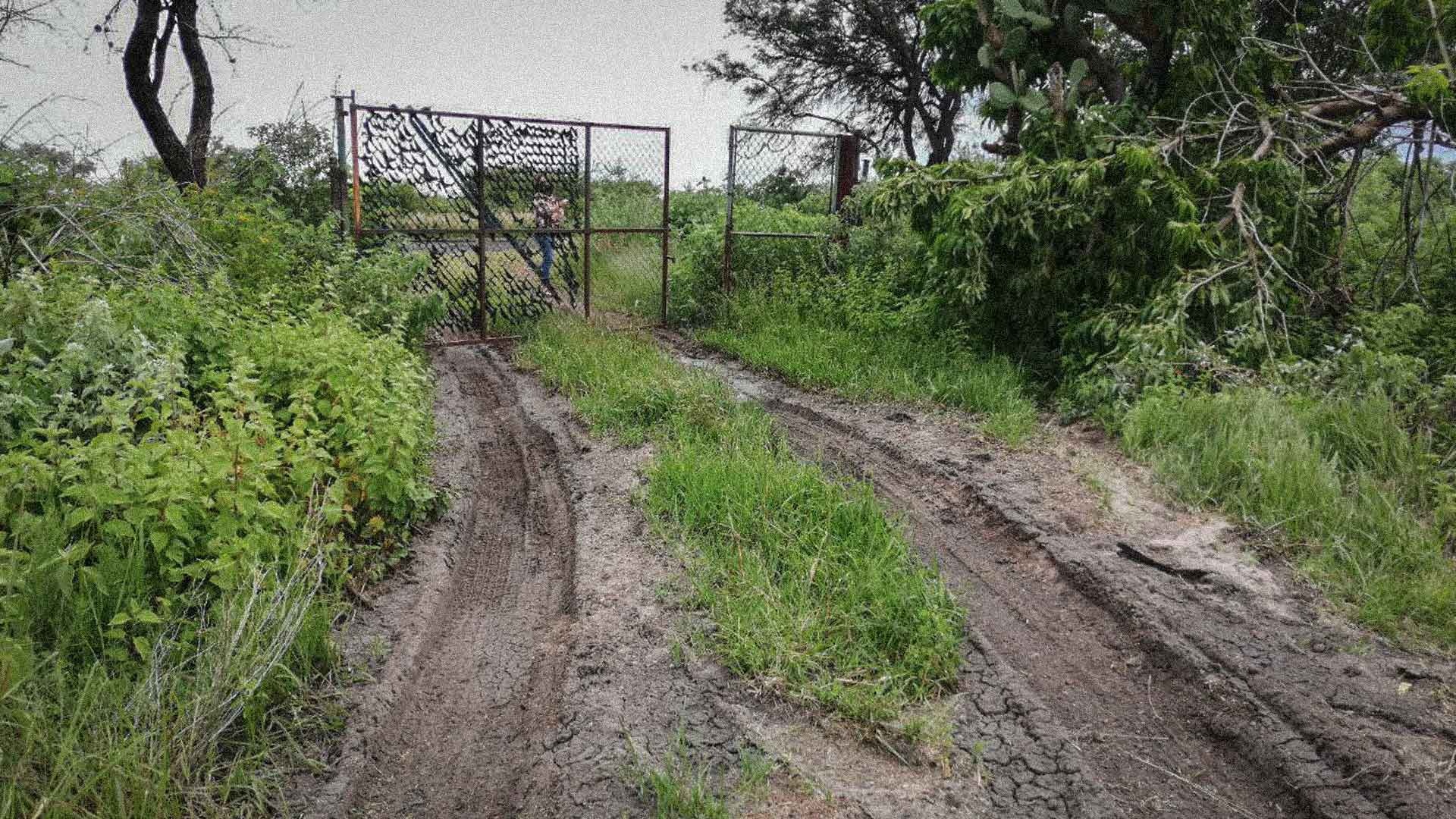 Foto: Edith Domínguez. Aldama, Irapuato