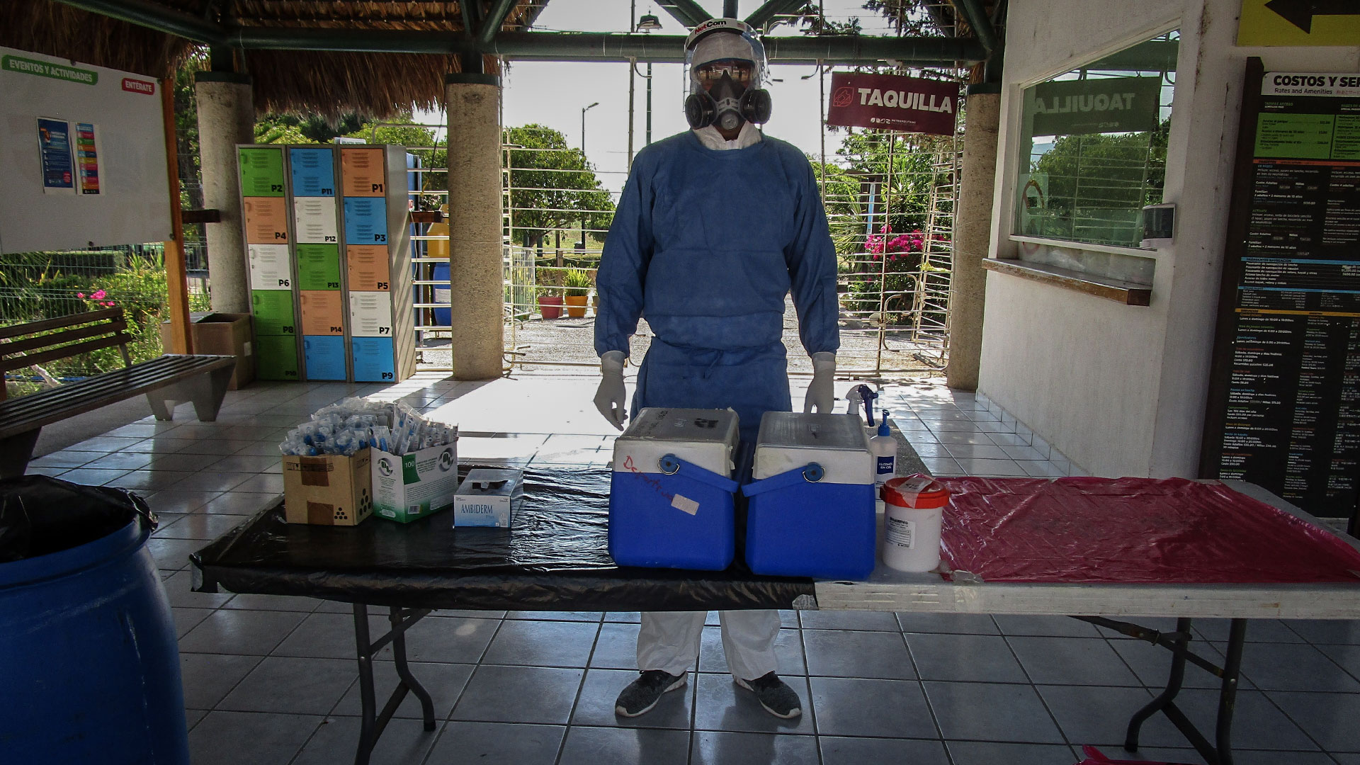 Foto: Alonso Merino Lubetzky