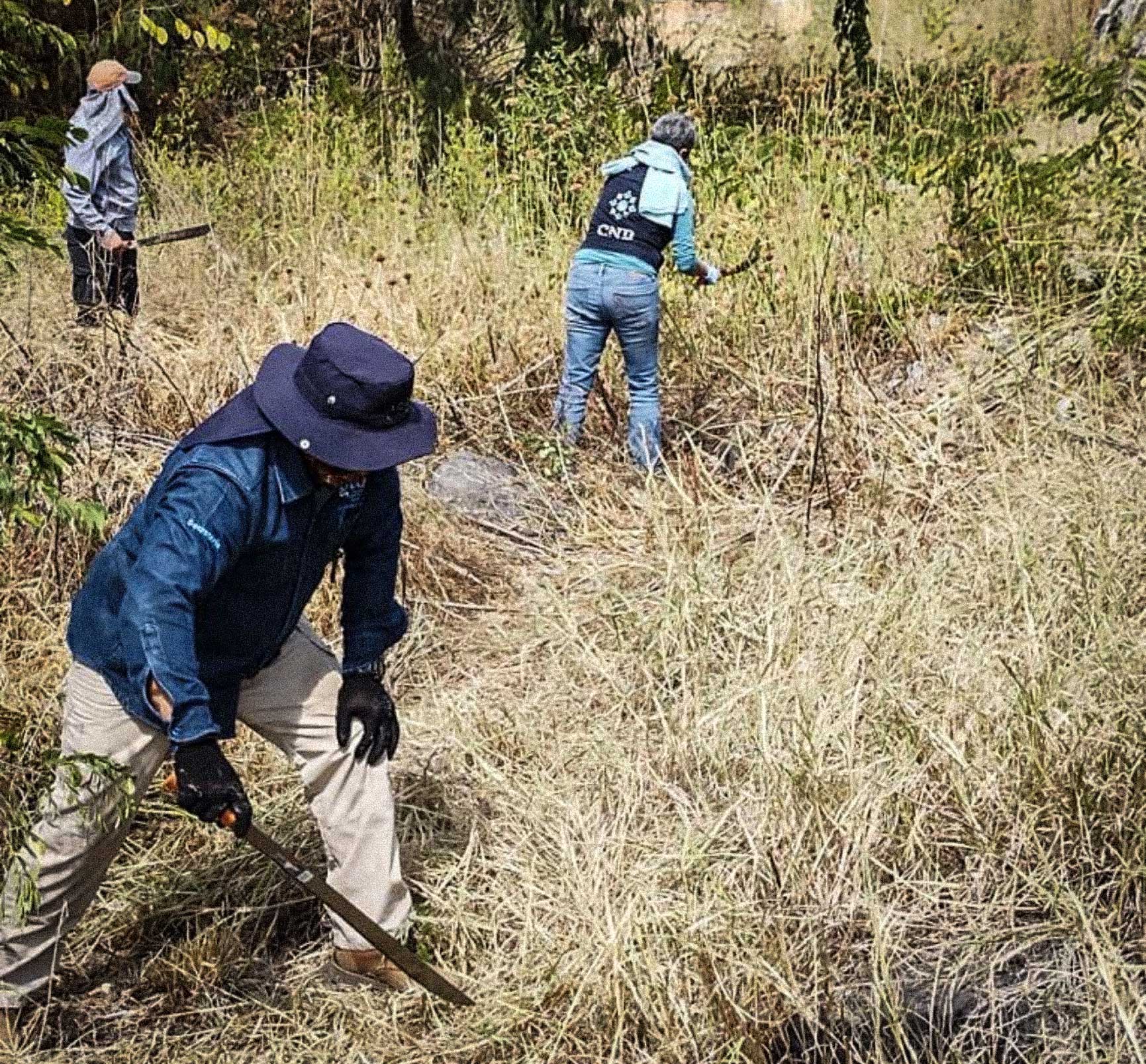 Fotos: Comisión Nal. de Búsqueda.