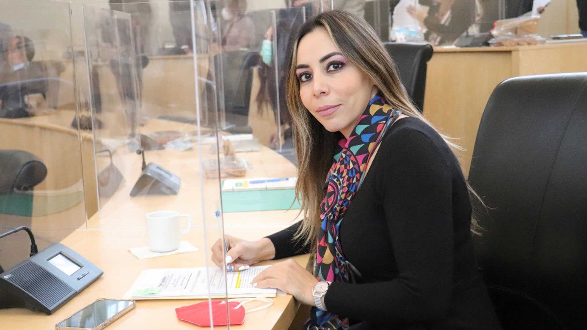 Diputada Yulma Rocha. Foto: especial.