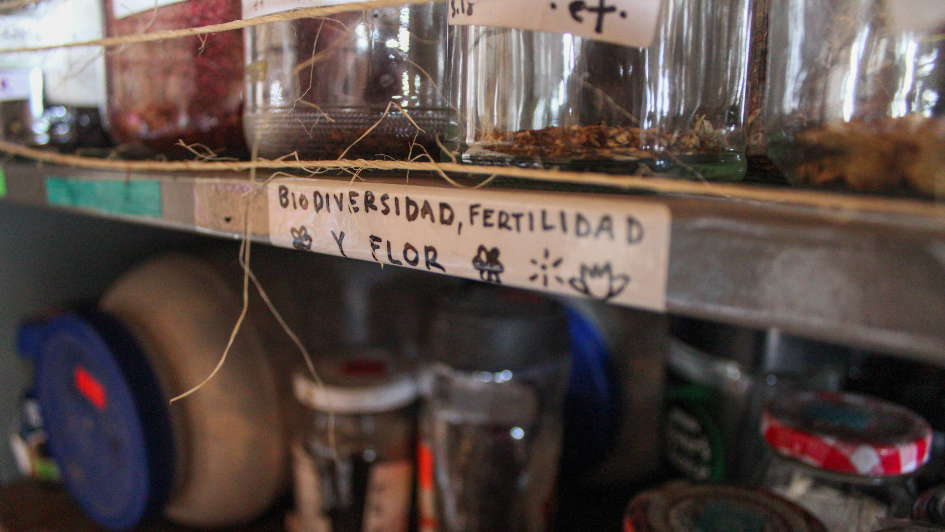 Banco de Semillas de la Comunidad Creativa Entreflores. Foto: Ulises Brambila