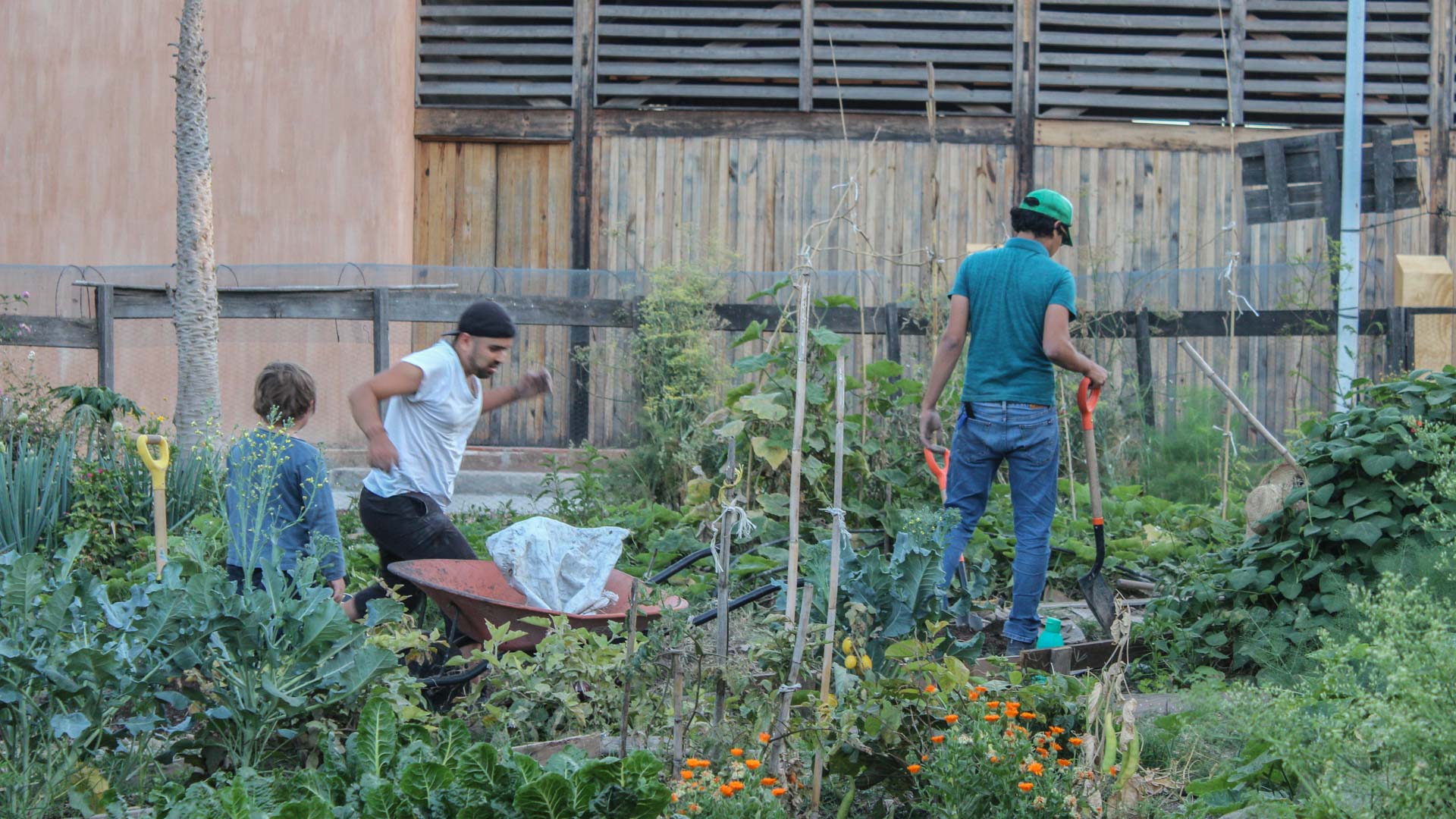 Trabajo comunitario del Colectivo Agroecológico Teocintle. Foto: Karina Peña.