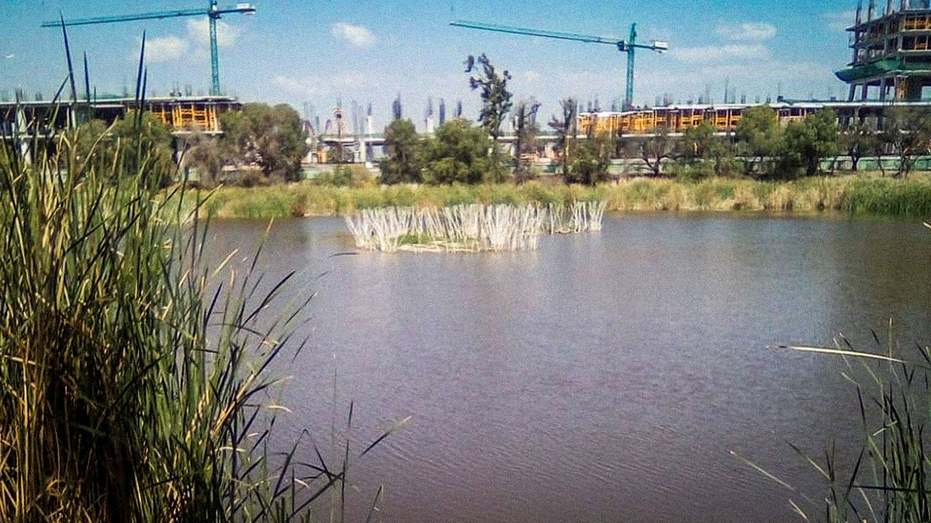 Avanza la construcción. Foto: Plataforma Salvemos El Humedal Los Cárcamos.