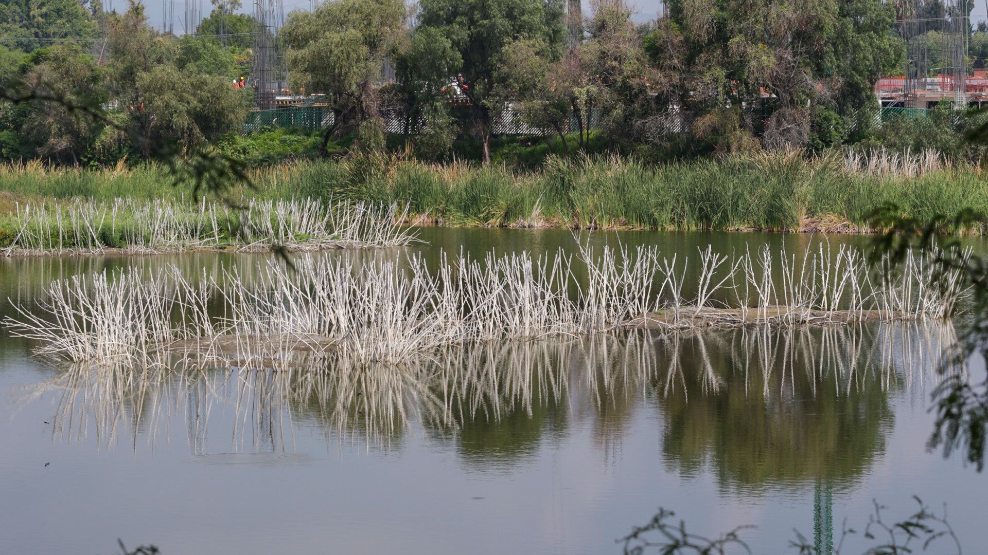 El humedal estaría en riesgo de muerte: la última información disponible indica que el nivel del agua ha retrocedido dos metros. Foto: archivo / Juan José Plascencia.