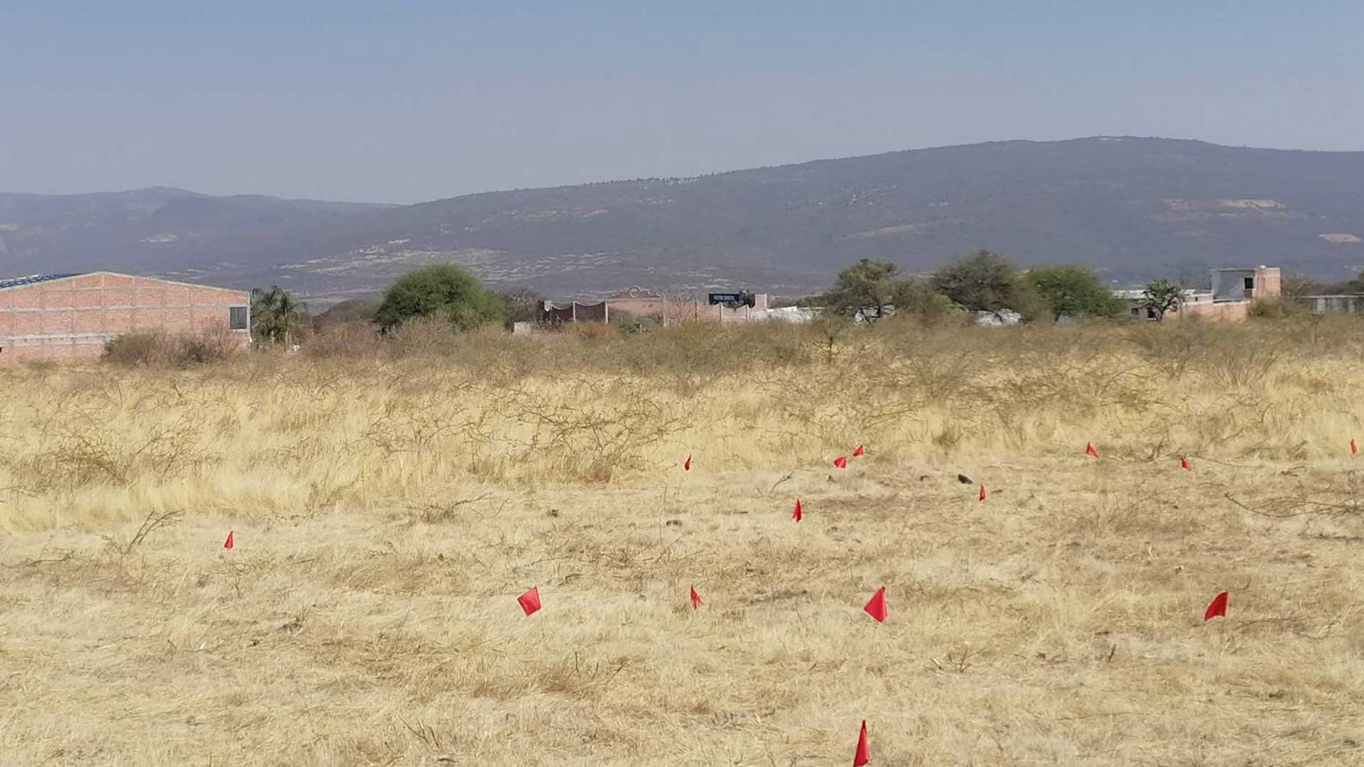Predio en El Sauz de Villaseñor. Fotografía Verónica Espinosa