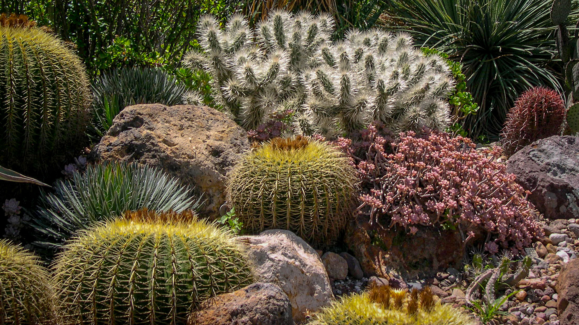 Foto: El Charco del Ingenio