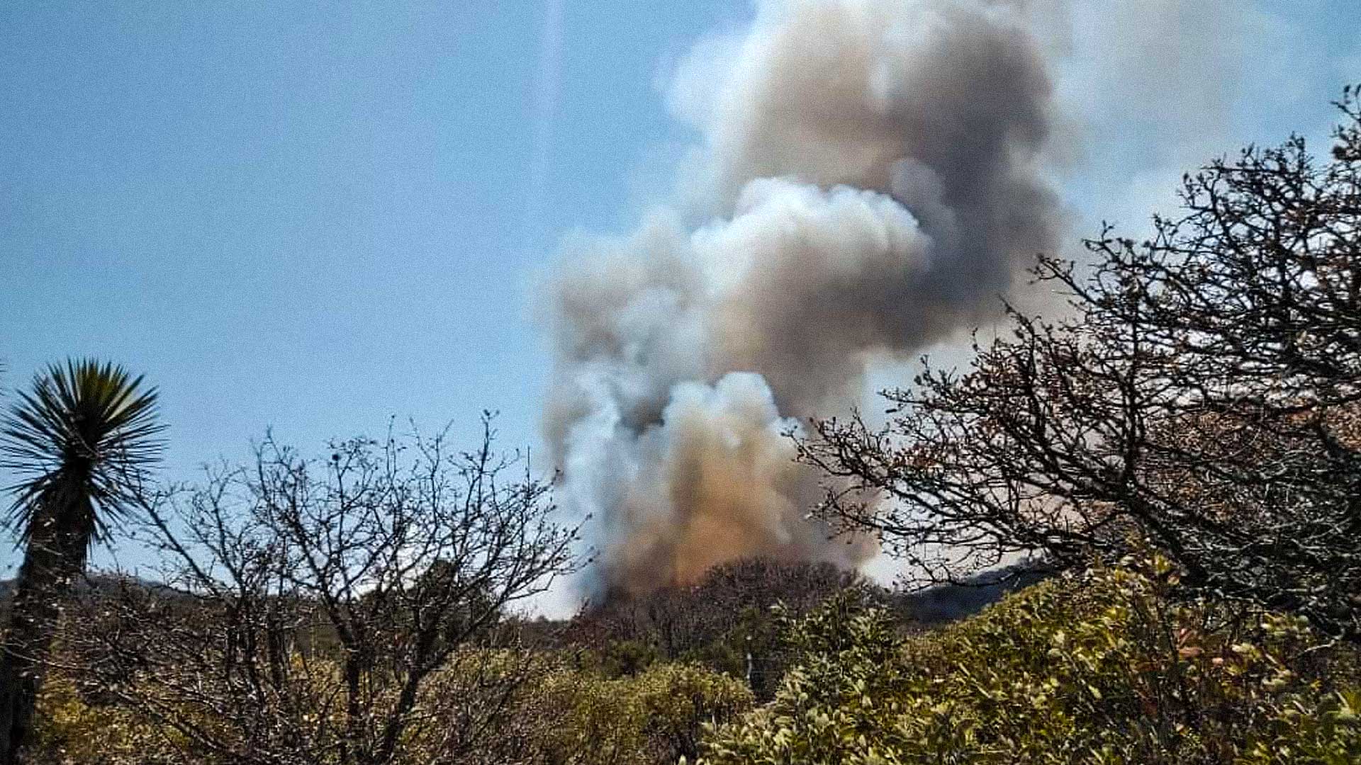 Incendio en Xichú. Foto: Efrén Cruz.