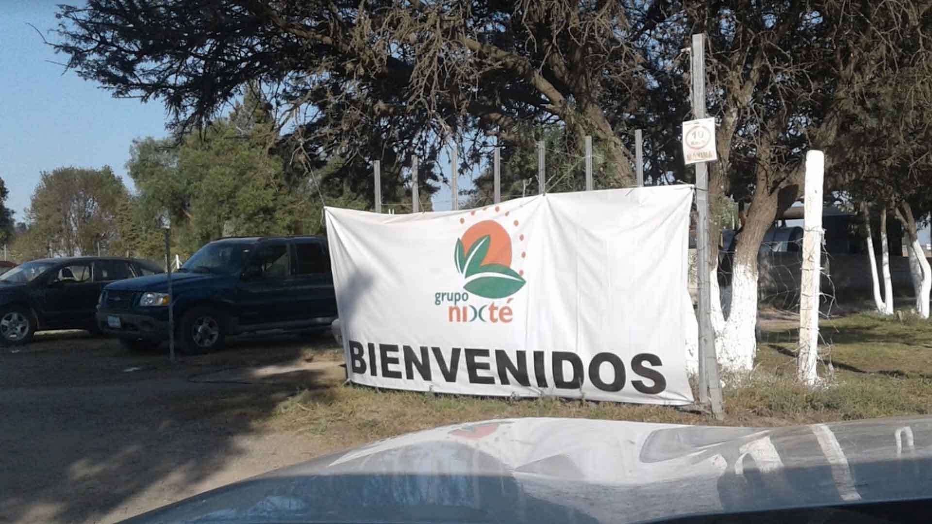 Foto: Especial. Nixte