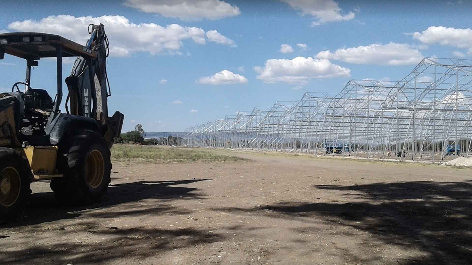 Foto: Especial. Nixte