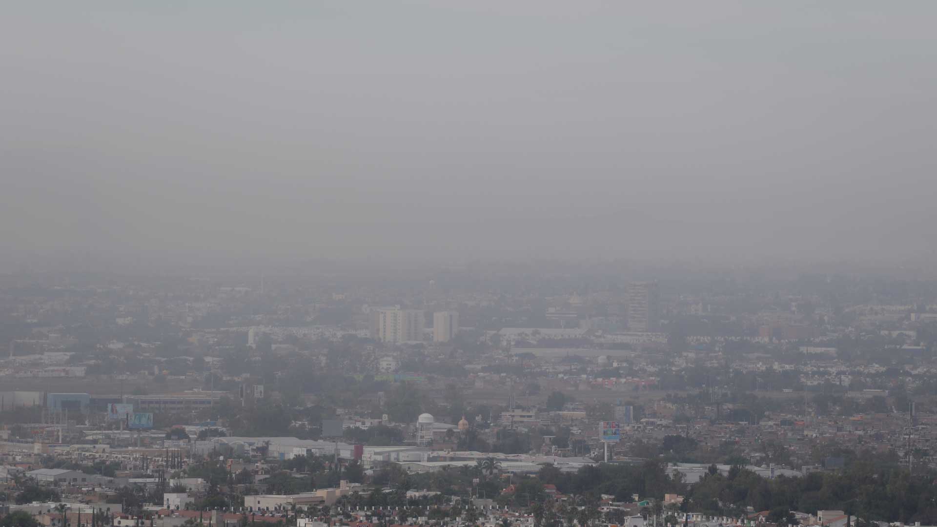 Foto: Juan José Plascencia.