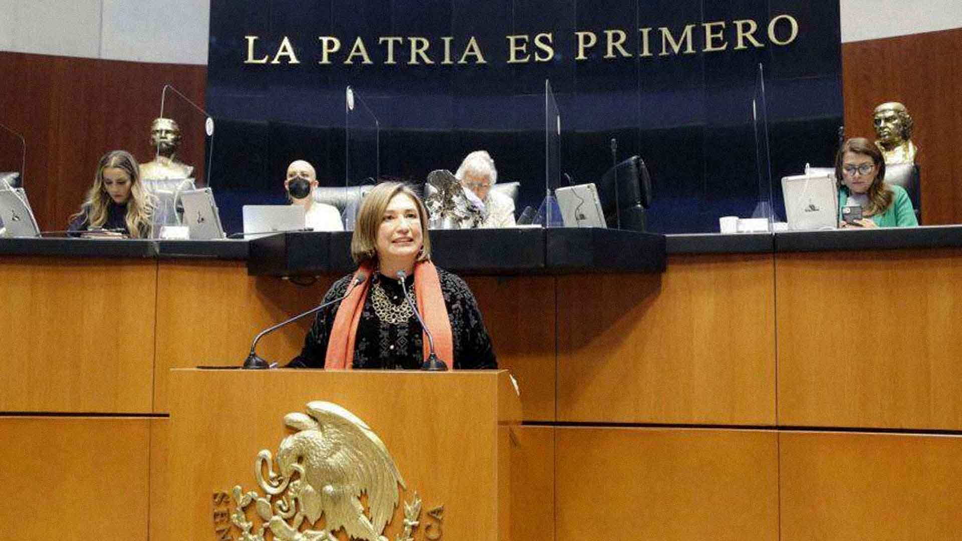 Xóchitl Gálvez. Fotografía del Senado