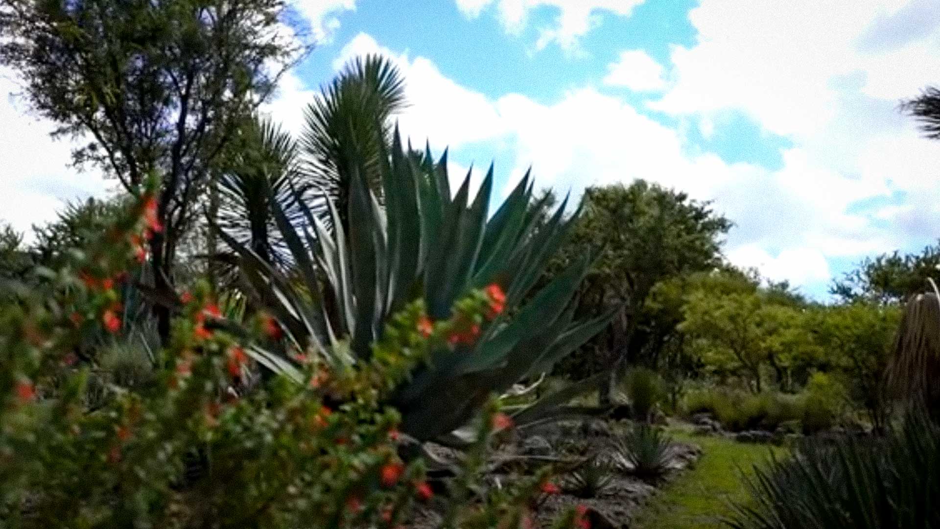 Fotos: El Charco del Ingenio
