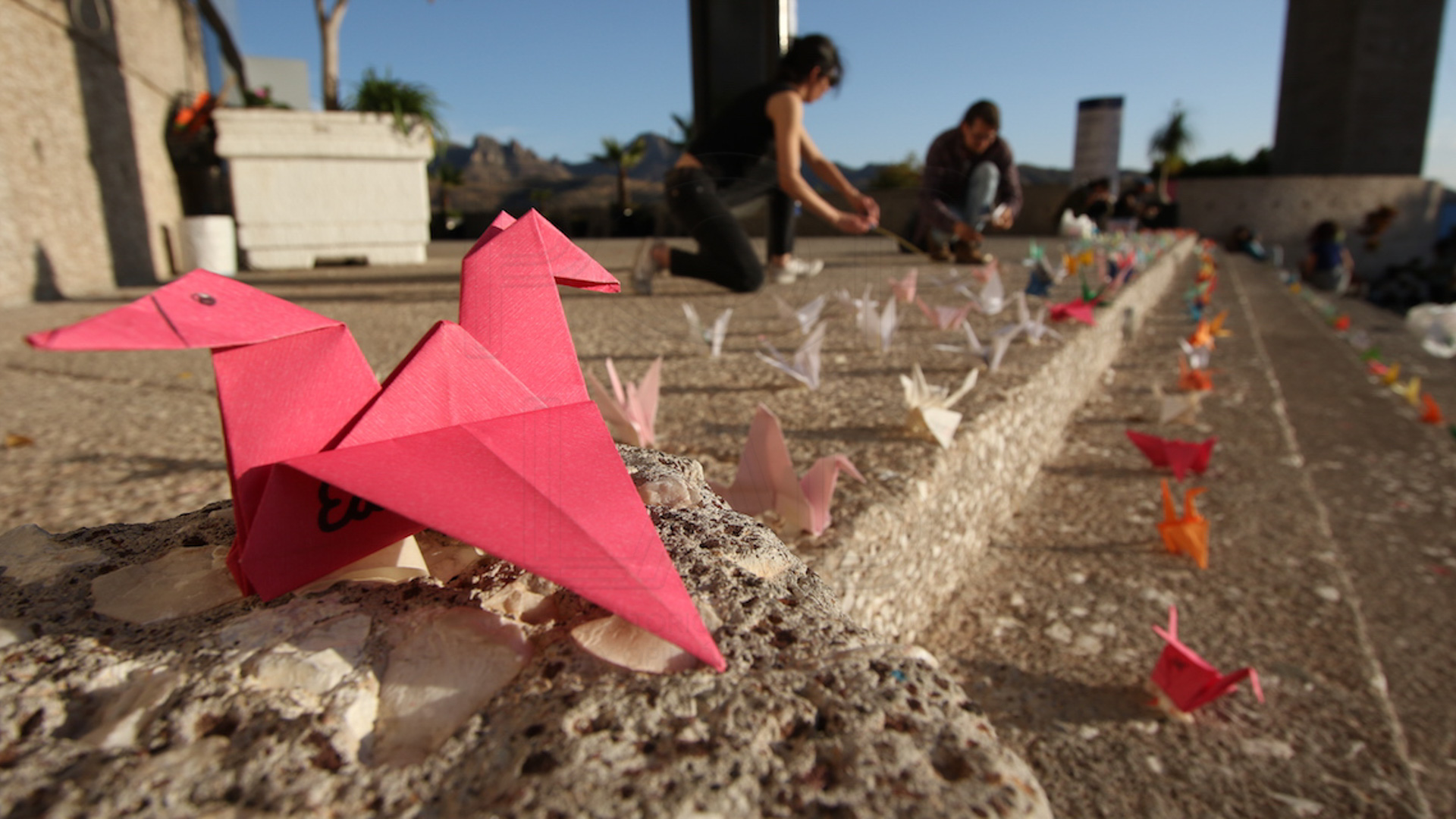 Familias de desaparecidos se reúnen, por fin, con Diego Sinhue en enero 2020. Colectivos y activistas montan en las escalinatas del Auditorio del estado un performance con miles de grullas de papel, una por cada persona ausente. Foto: archivo