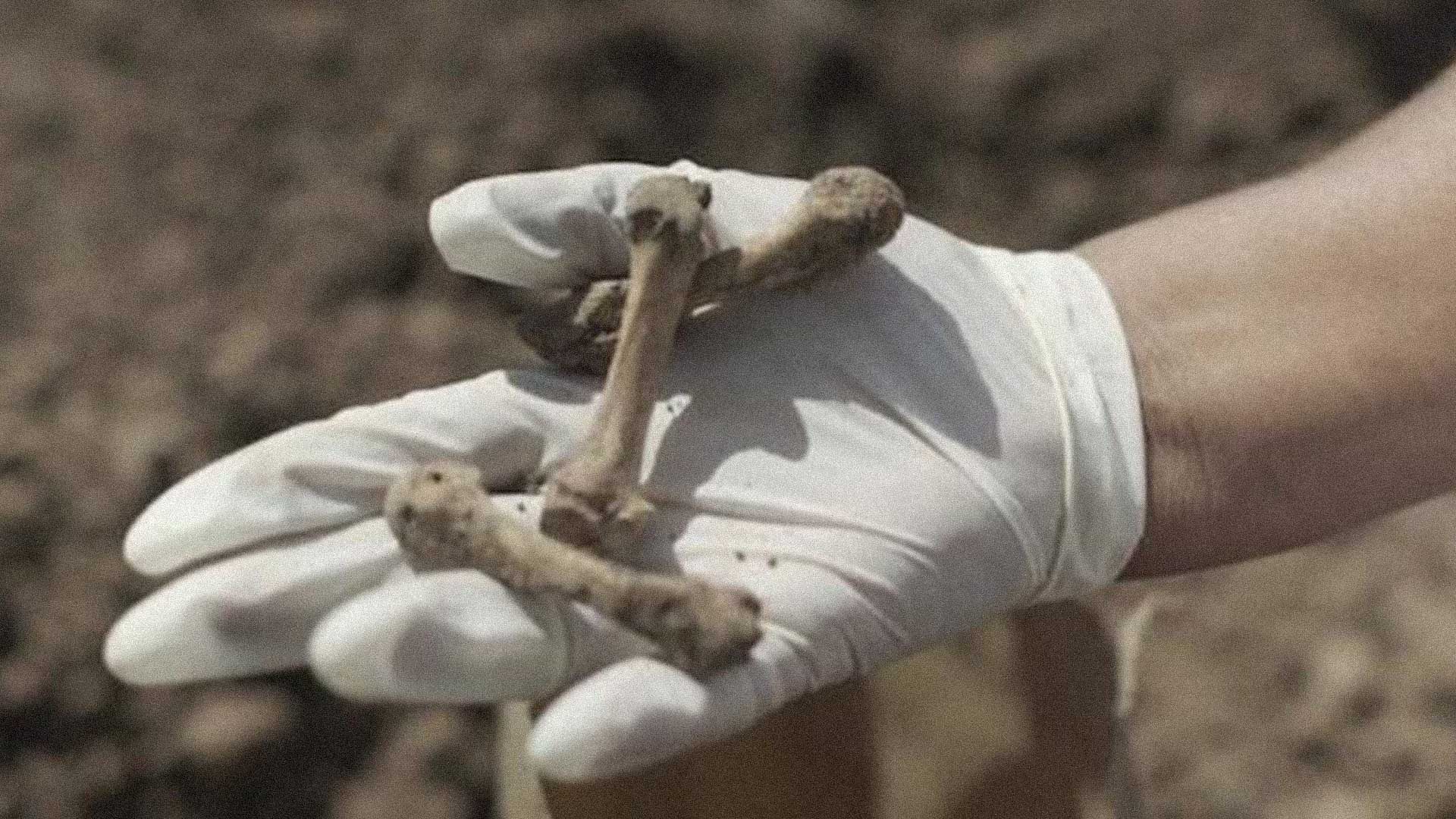 Los huesitos de mi hijo. Foto: Cortesía