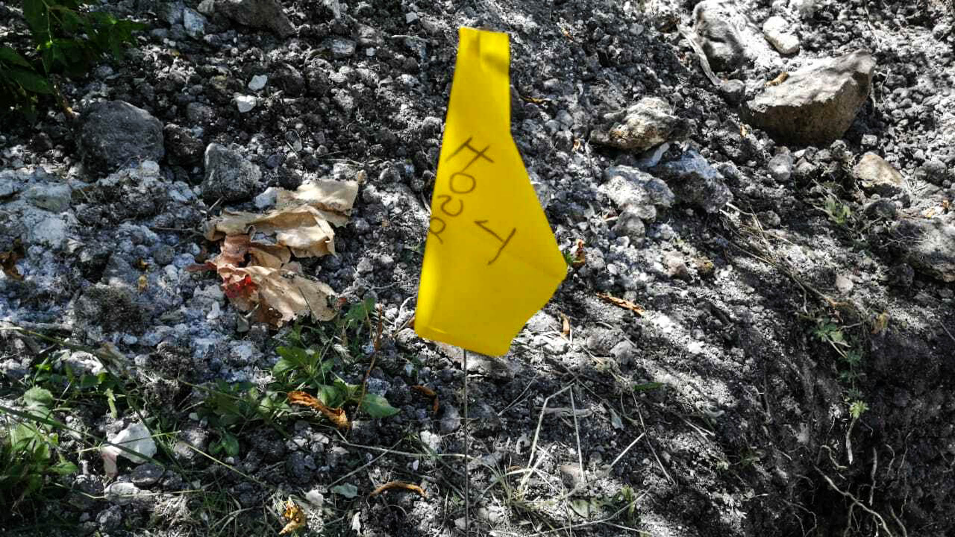 Entierro clandestino en Salvatierra. Foto: Comisión Nacional de Búsqueda
