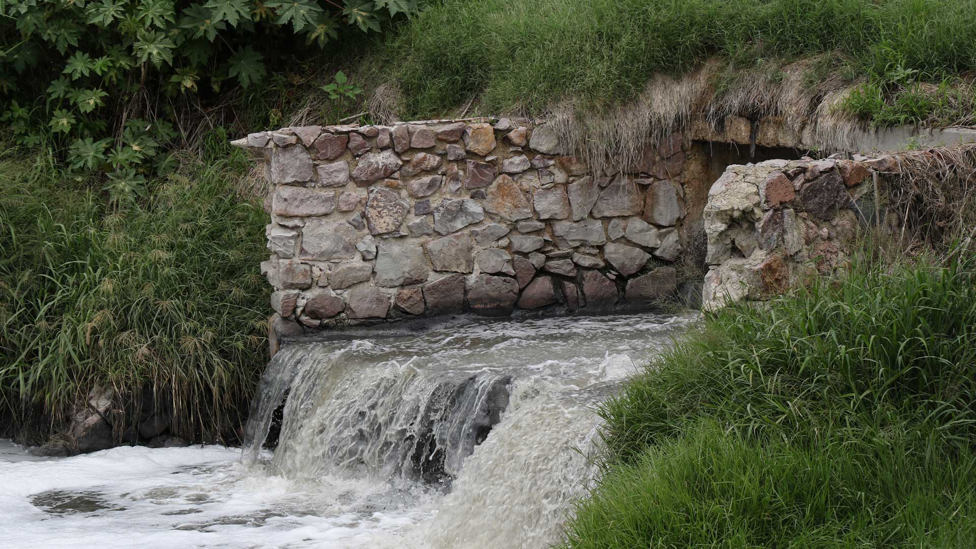 Agua sucia es desechada en arroyos provocando contaminación. Foto: Juan José Plascencia.