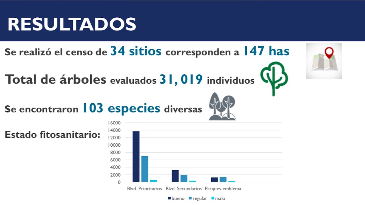 Datos: Primera etapa Censo Forestal Urbano de la ciudad de León (nov. de 2018)